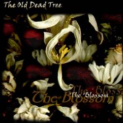 The Old Dead Tree : The Blossom